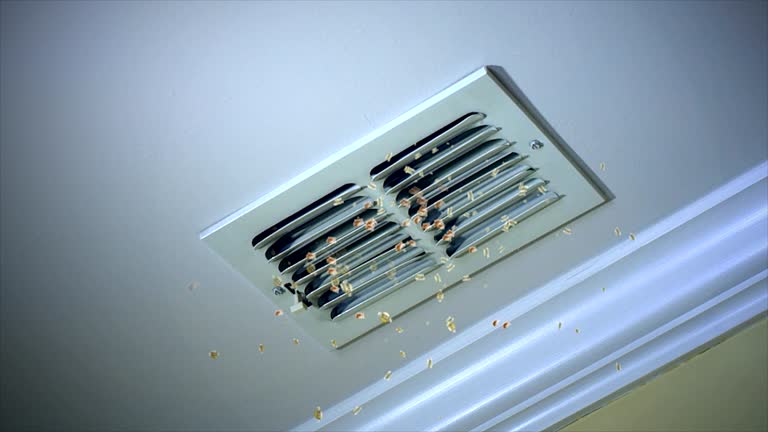 Best Home Air Vent Cleaning  in Bushland, TX