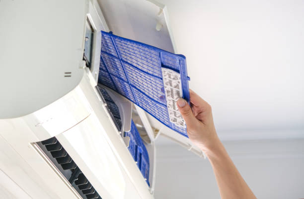 Best Affordable Duct Cleaning Services  in Bushland, TX